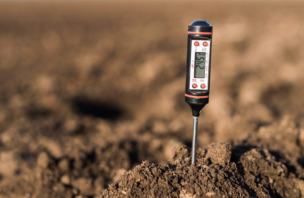 Soil meter sticking out of mound of dirt, displaying a measure PH, temperature and moisture on its screen.