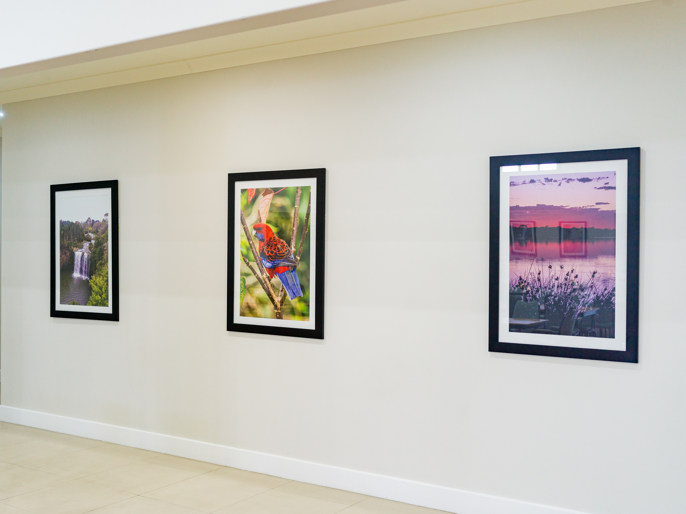 Framed resident photographs of a waterfall, a crimson rosella and a lakeside sunset on the Clubhouse wall at Vantage Logan Village Links